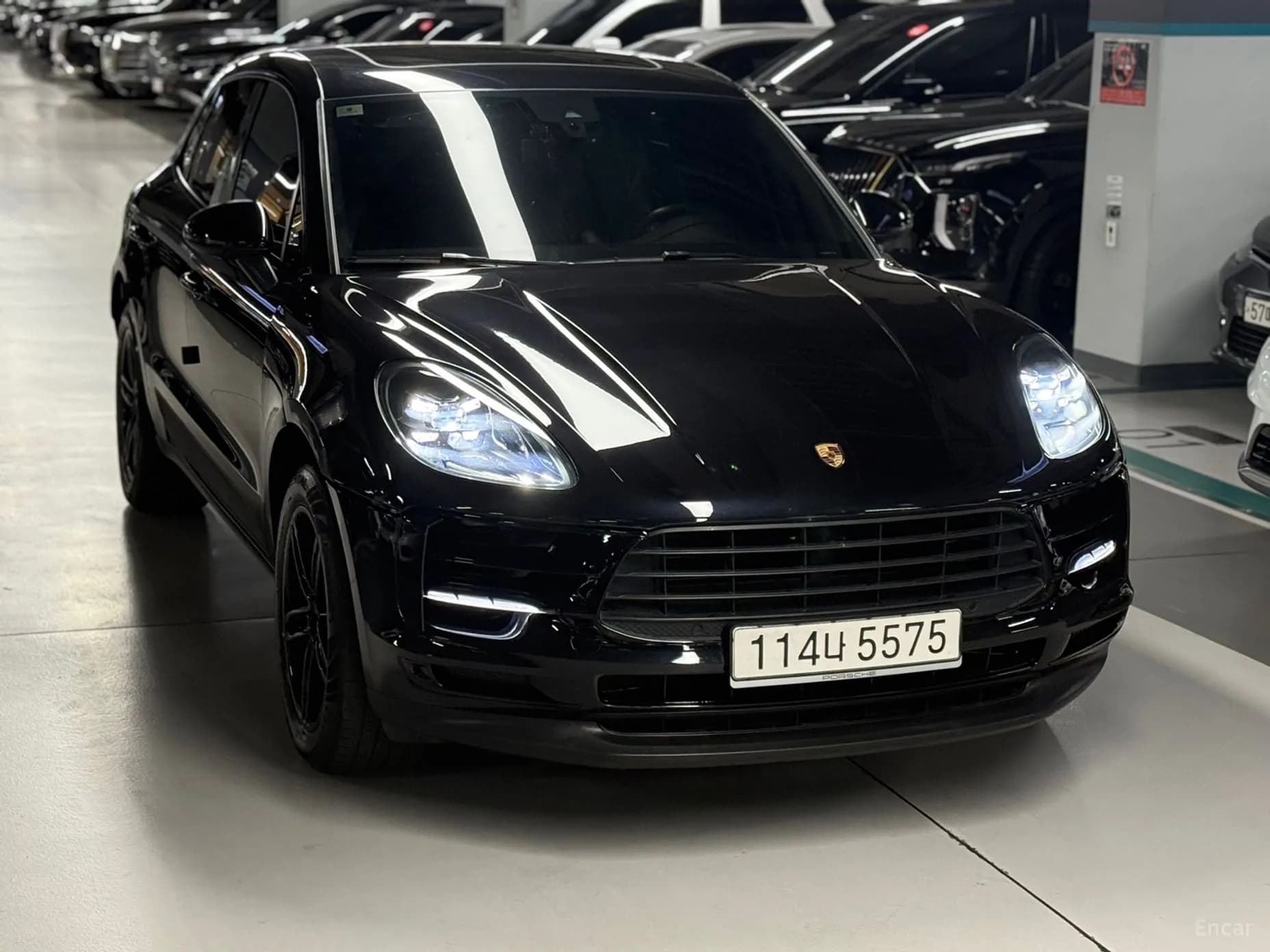 Macan