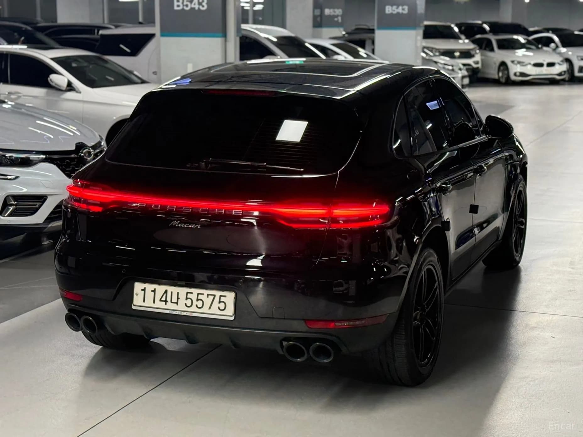 Macan