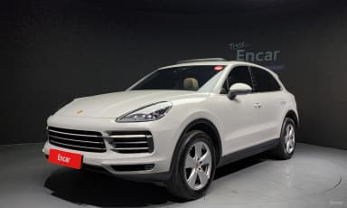 Cayenne (PO536)
