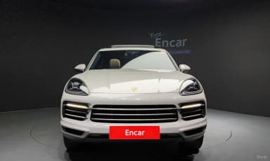 Cayenne (PO536)