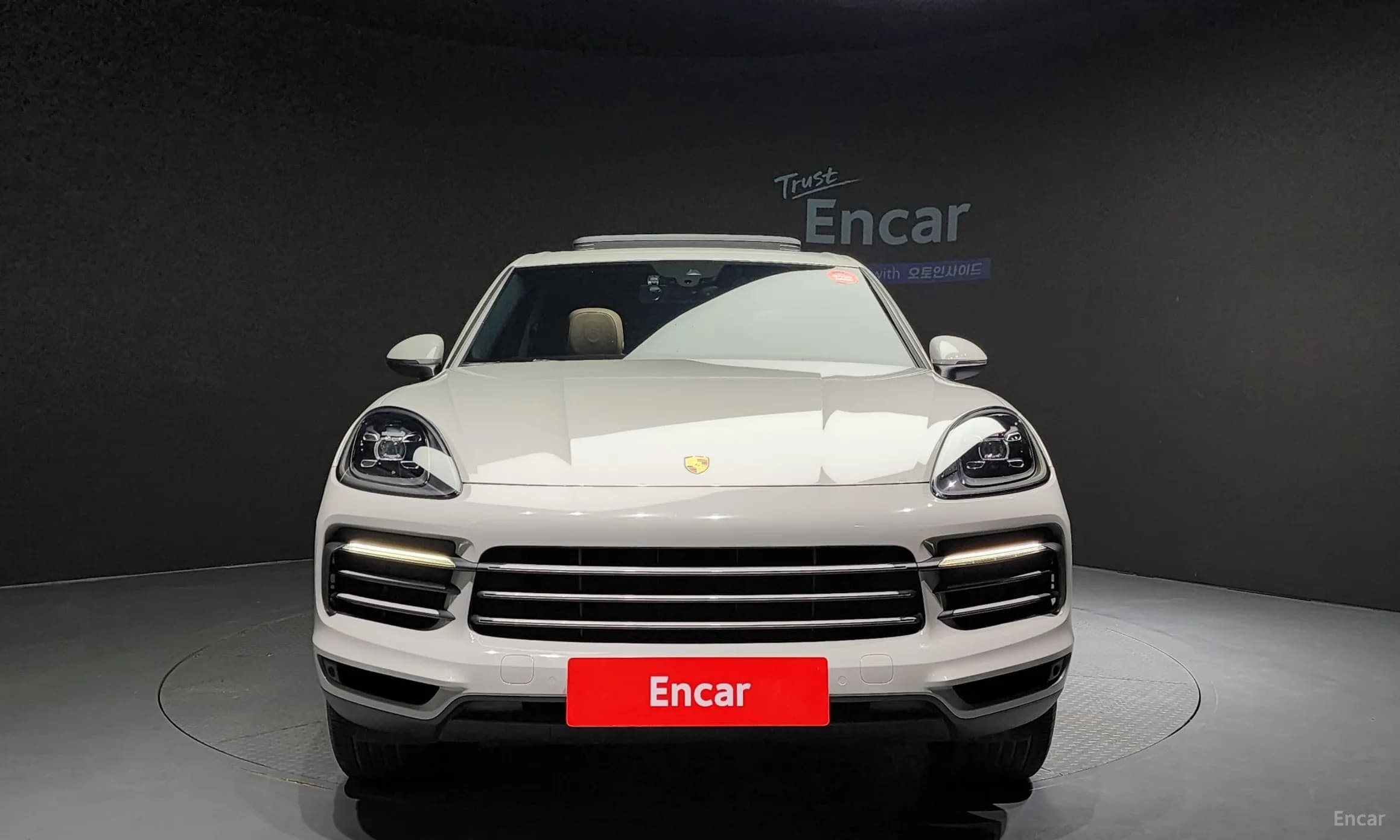 Cayenne (PO536)