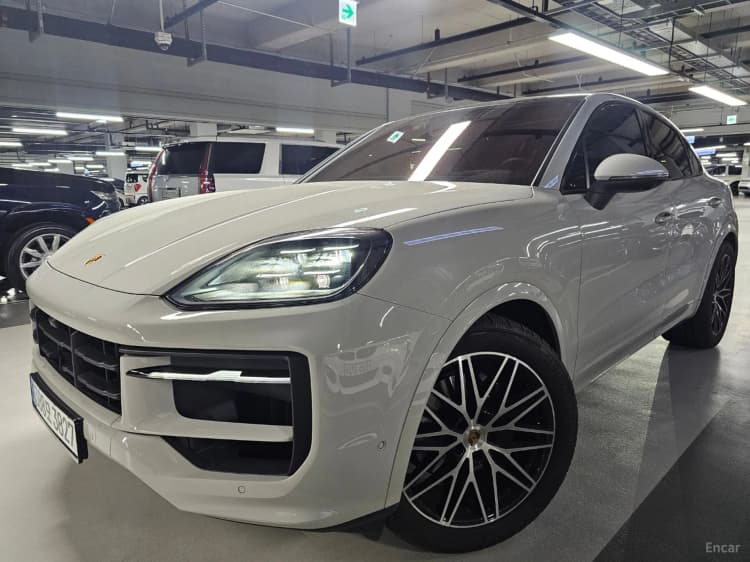 Cayenne (PO536)