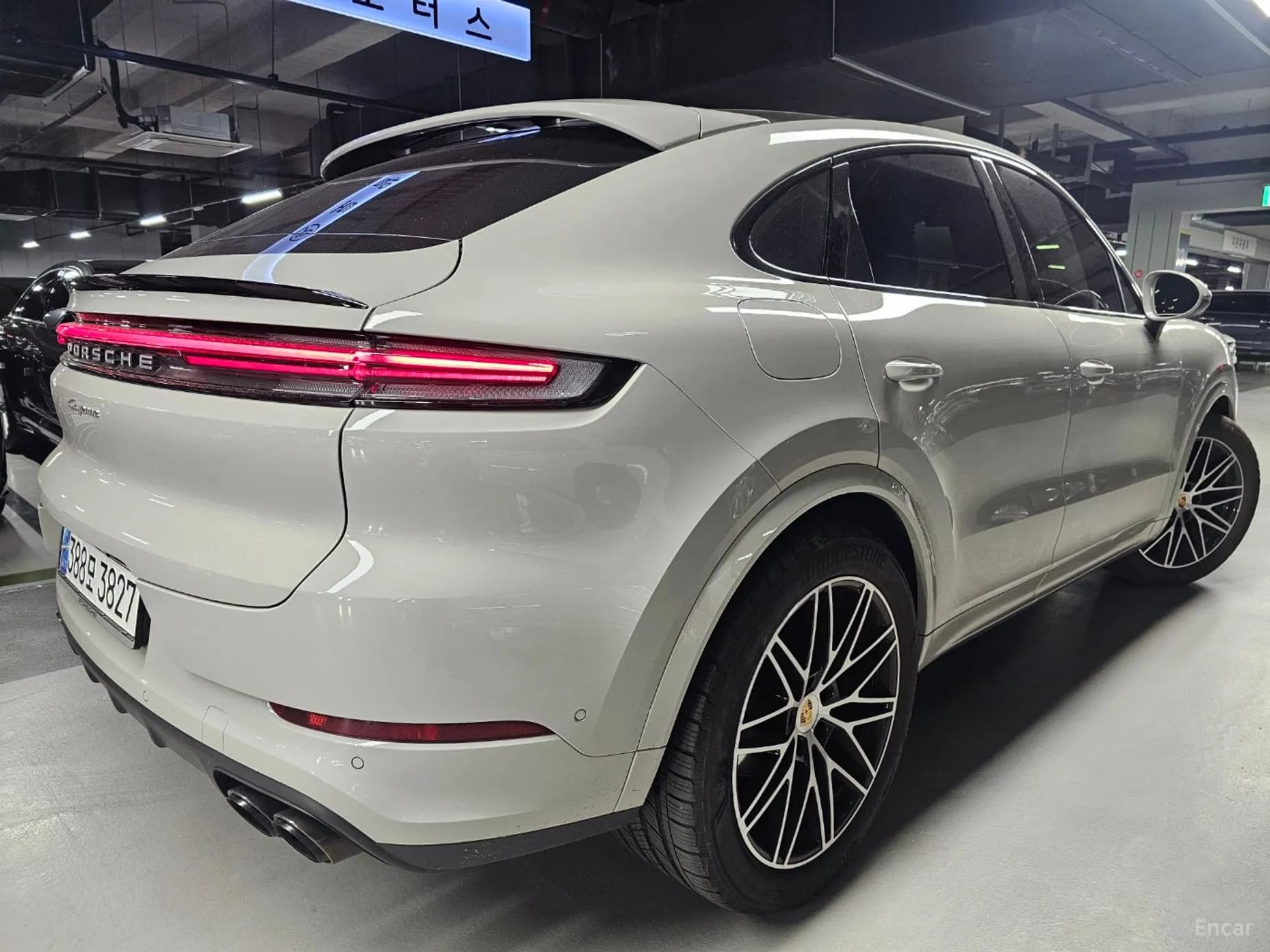 Cayenne (PO536)