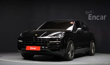 Cayenne (PO536)