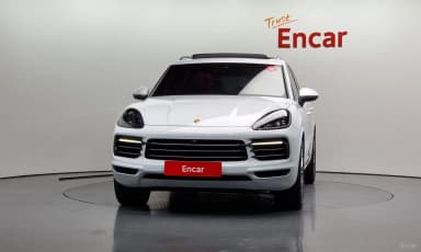Cayenne (PO536)