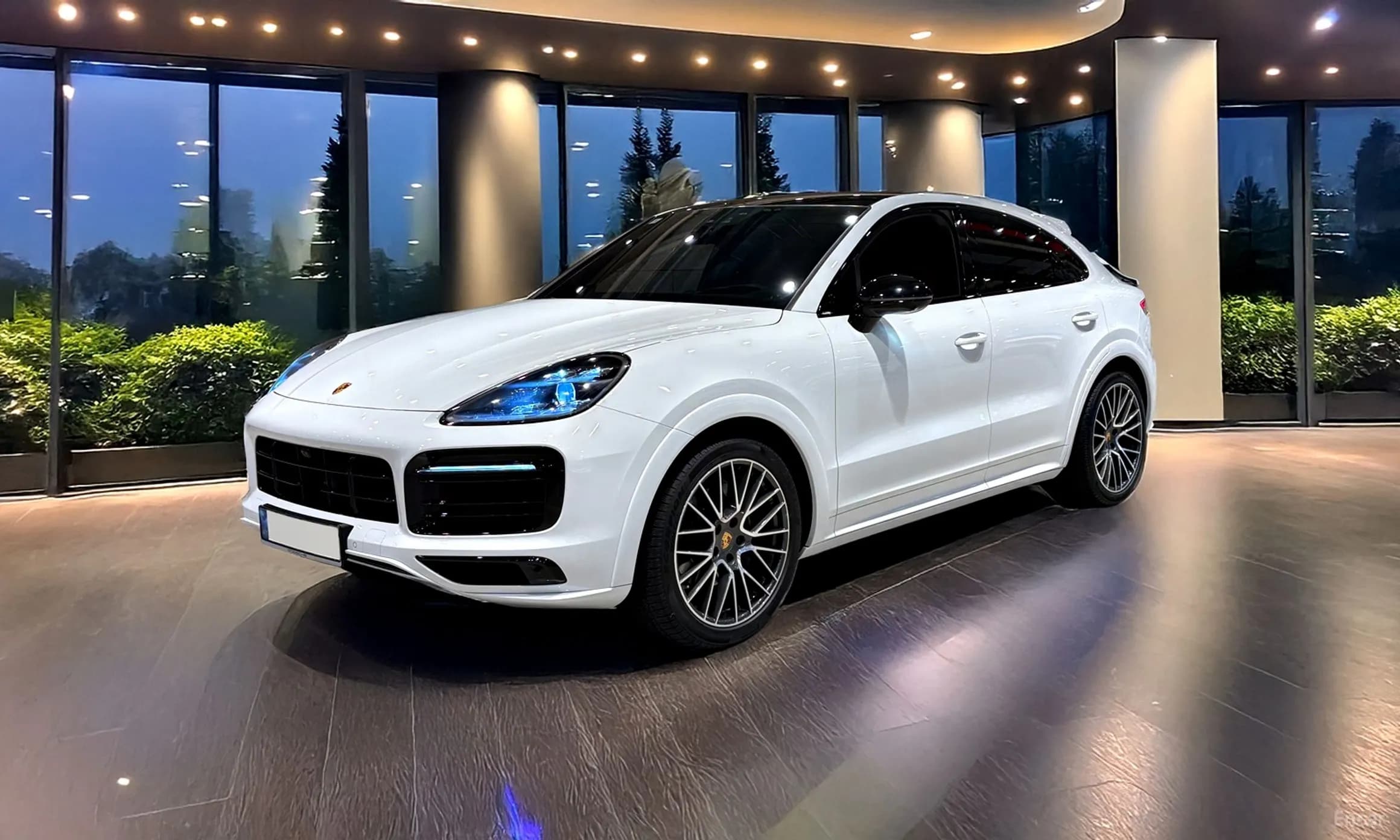 Cayenne (PO536)