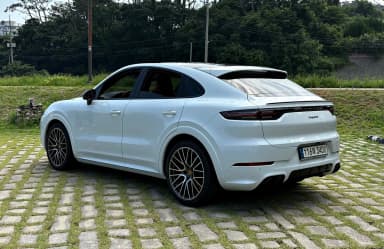 Cayenne (PO536)