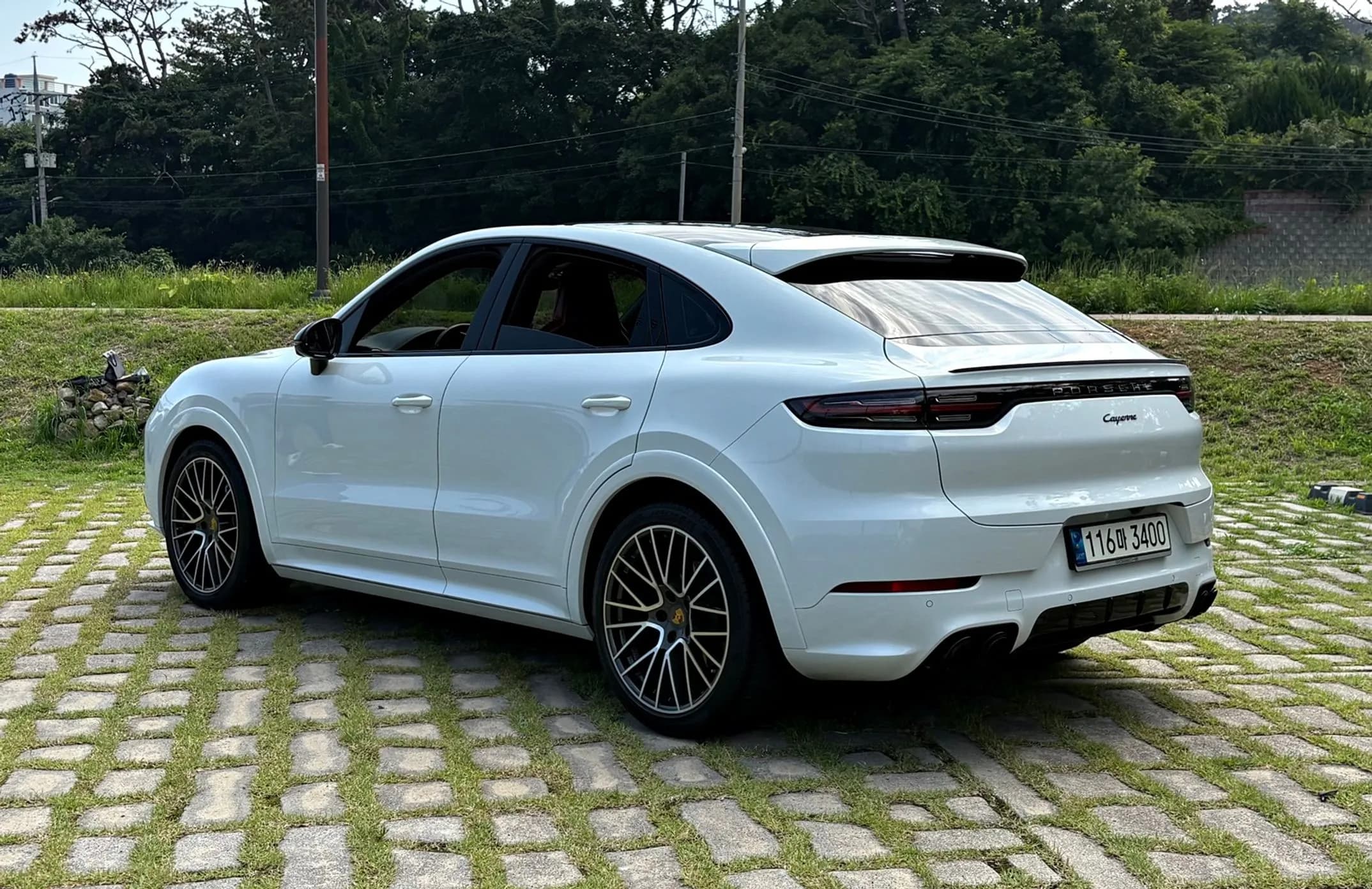 Cayenne (PO536)