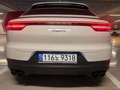 Cayenne (PO536)