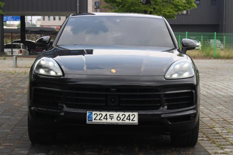 Cayenne (PO536)