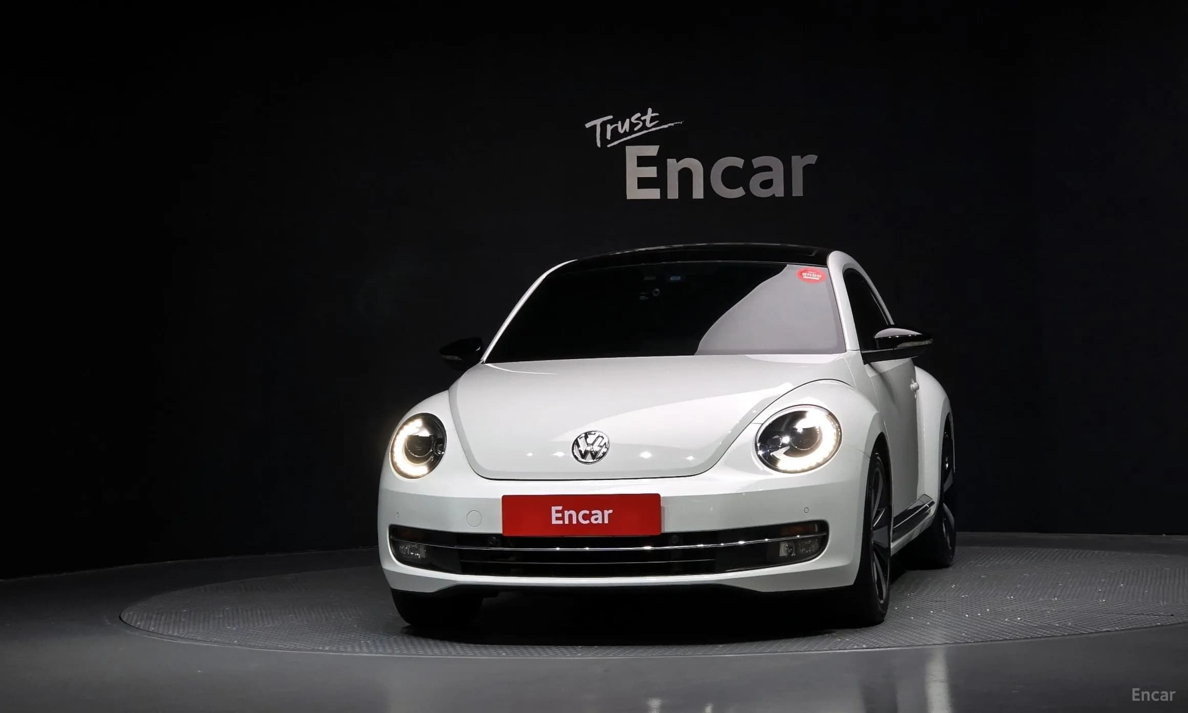 The Beetle