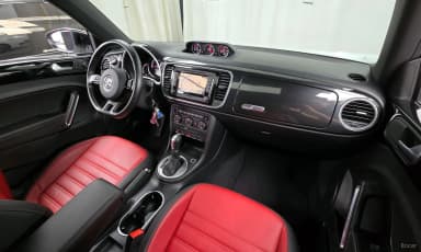 The Beetle