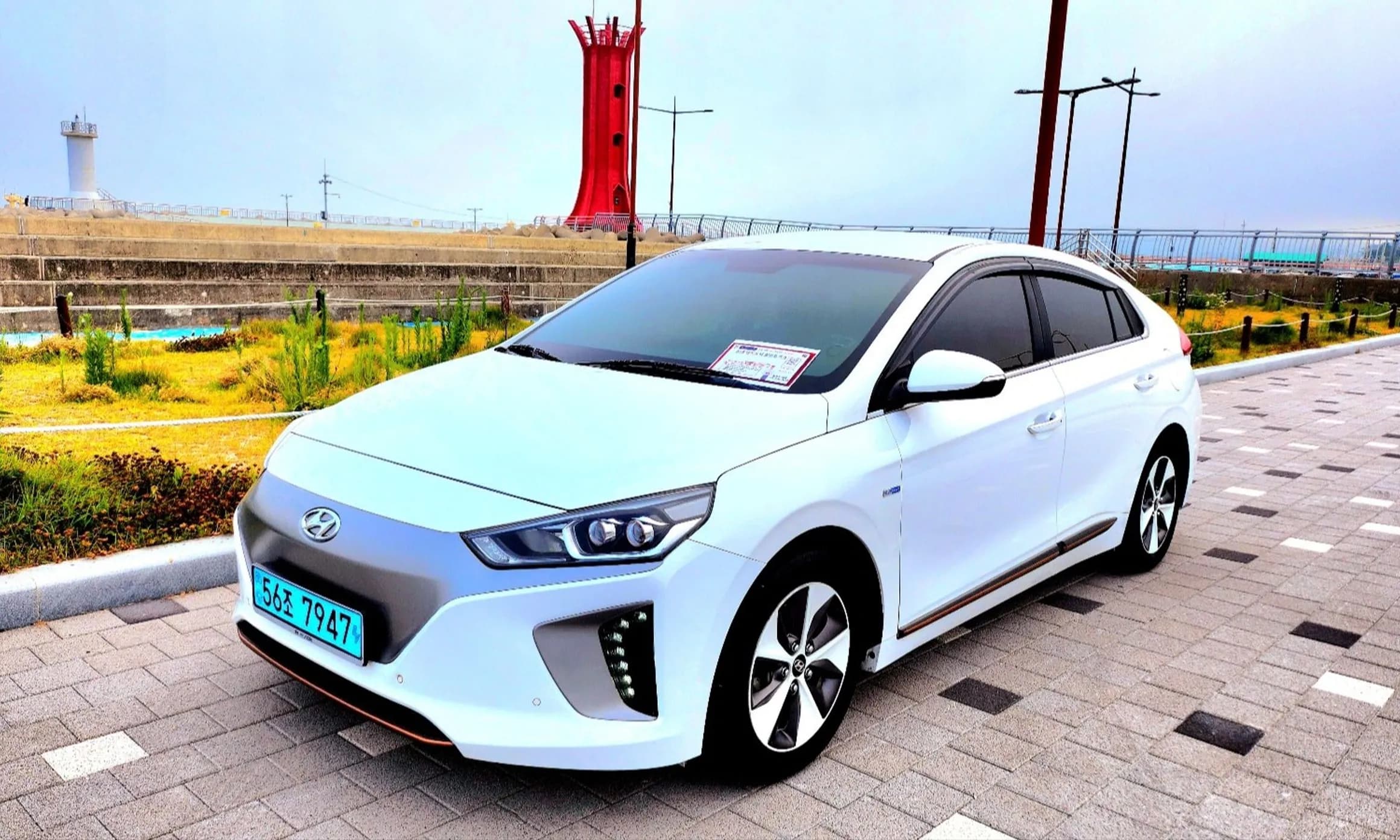 Ioniq Electric