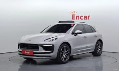 Macan