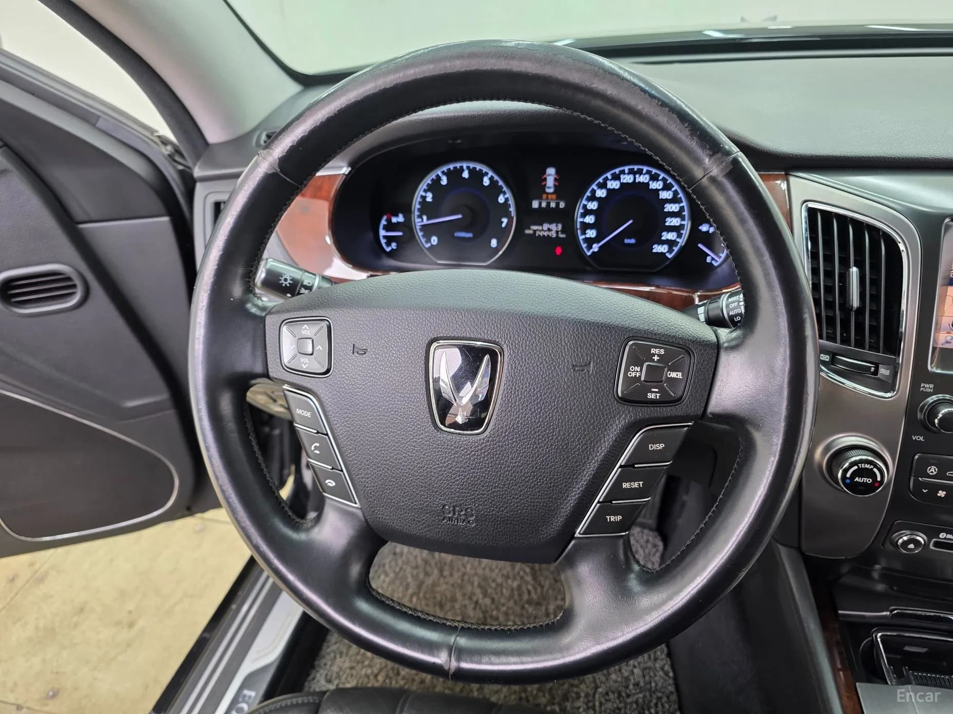 Equus (new)