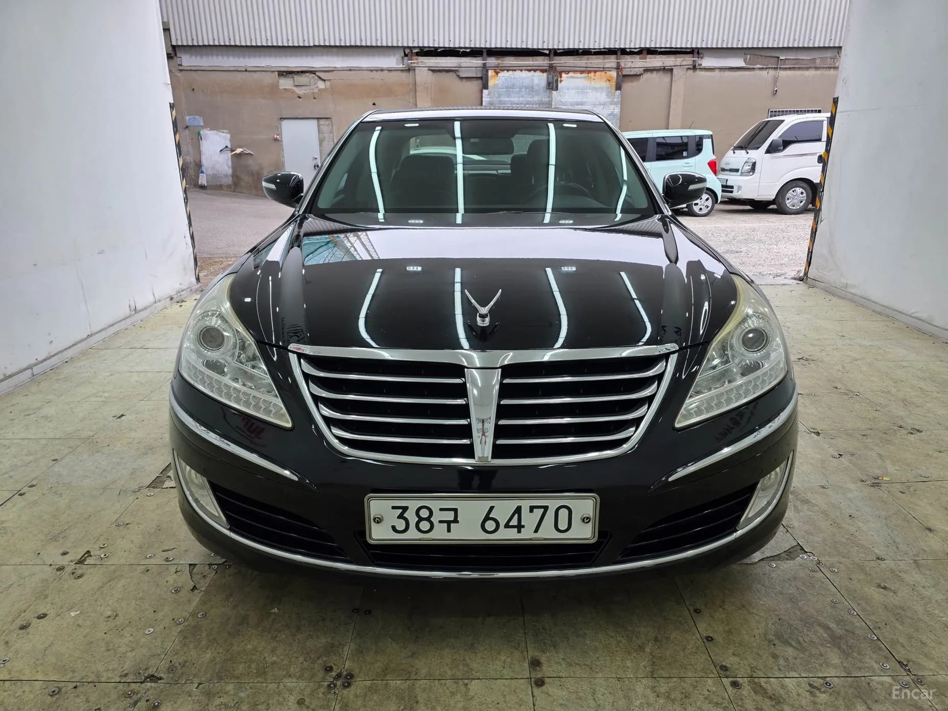 Equus (new)