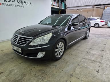 Equus (new)