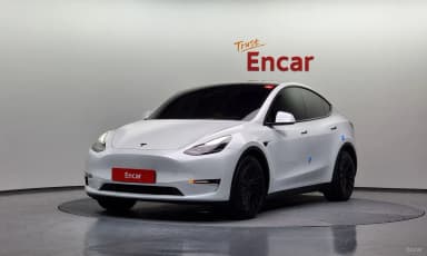 Model Y