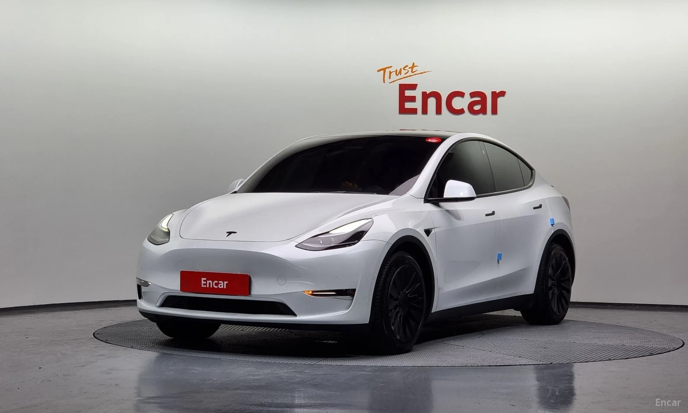 Model Y