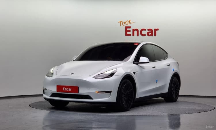 Model Y
