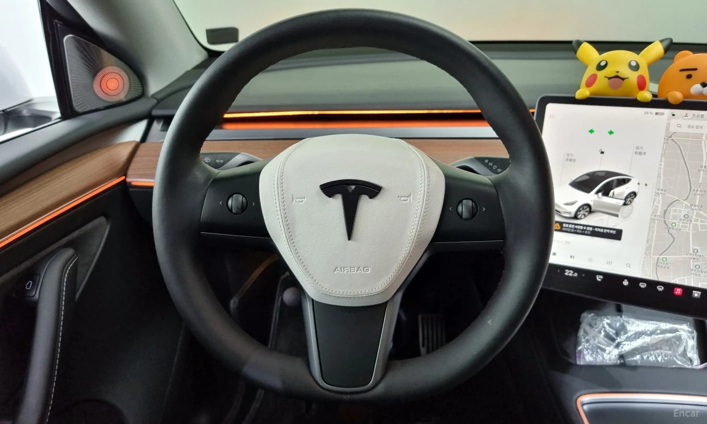 Model Y