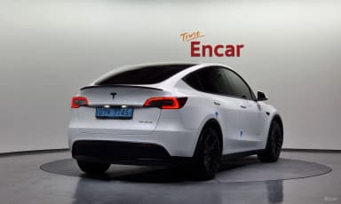 Model Y
