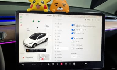 Model Y