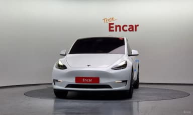 Model Y