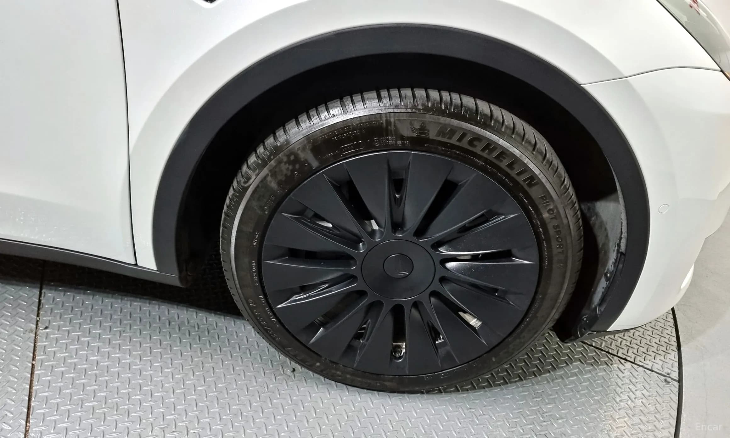 Model Y