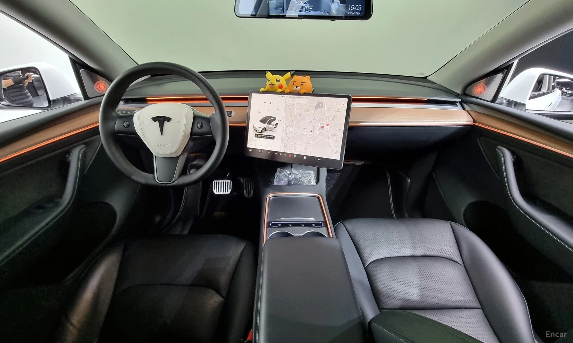 Model Y