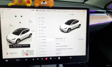 Model Y