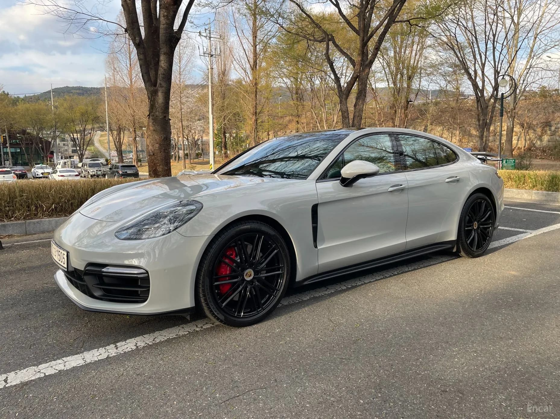 Panamera (971)