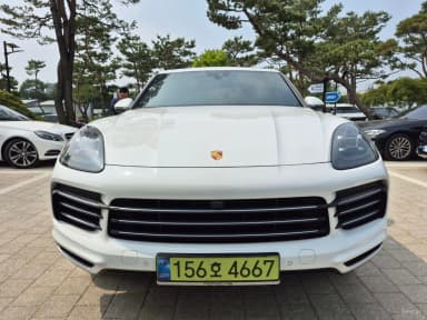 Cayenne (PO536)