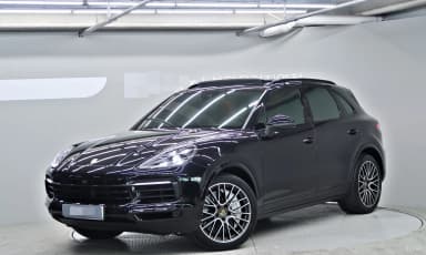 Cayenne (PO536)