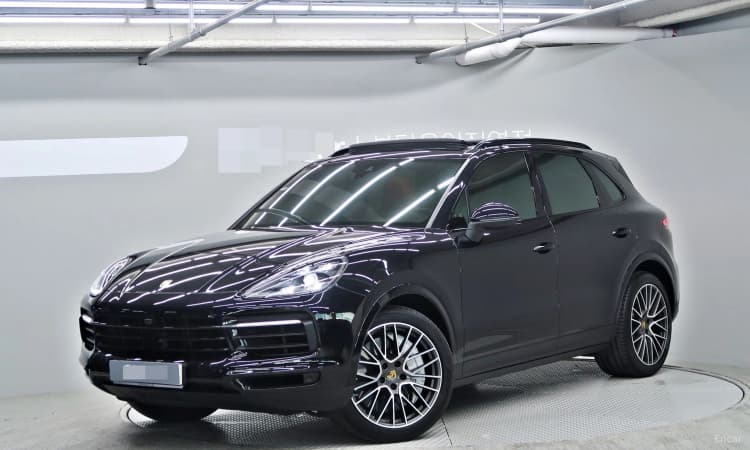 Cayenne (PO536)