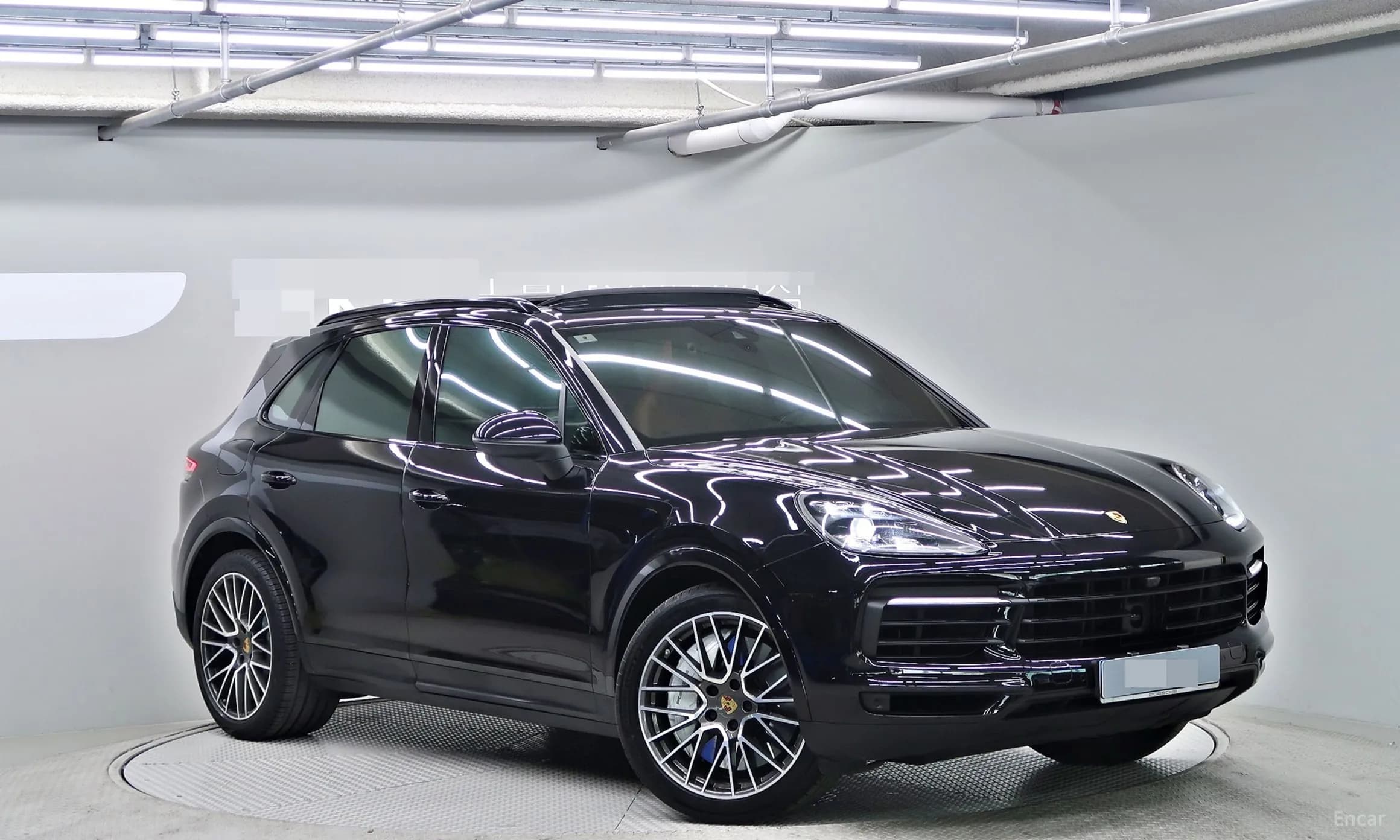 Cayenne (PO536)