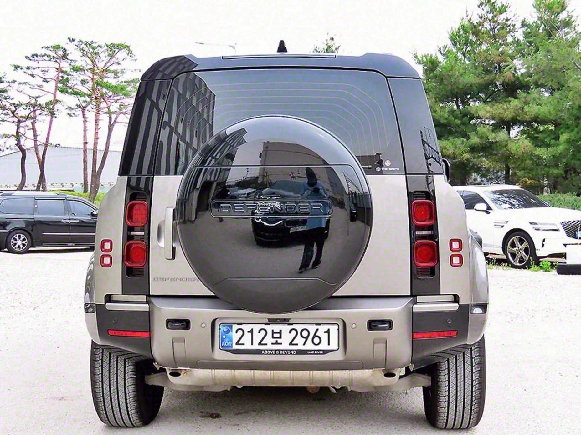 Defender (L663)