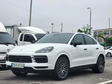 Cayenne (PO536)