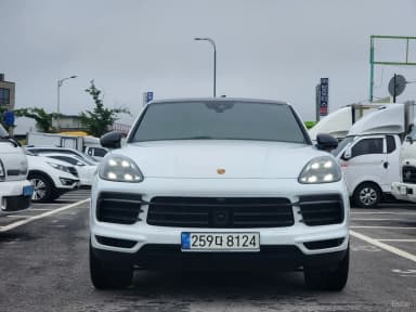 Cayenne (PO536)