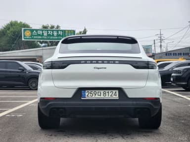 Cayenne (PO536)