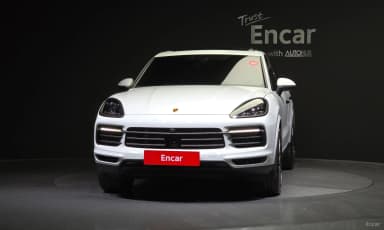 Cayenne (PO536)