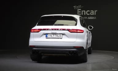 Cayenne (PO536)