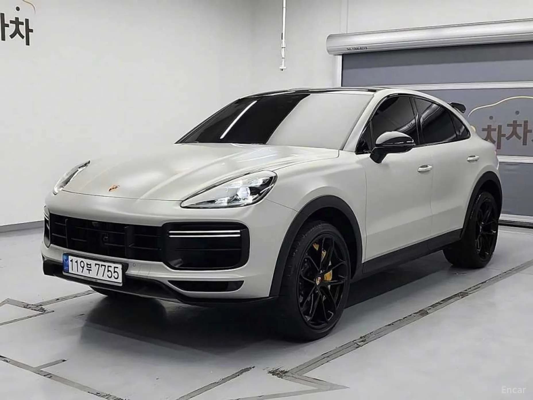 Cayenne (PO536)
