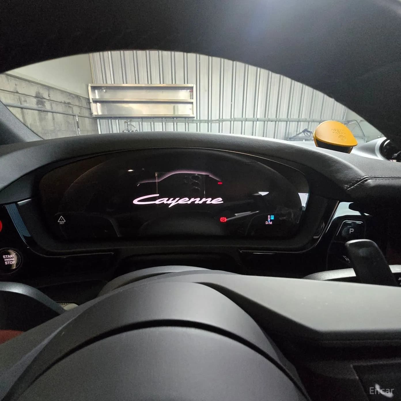 Cayenne (PO536)