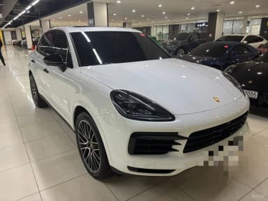 Cayenne (PO536)