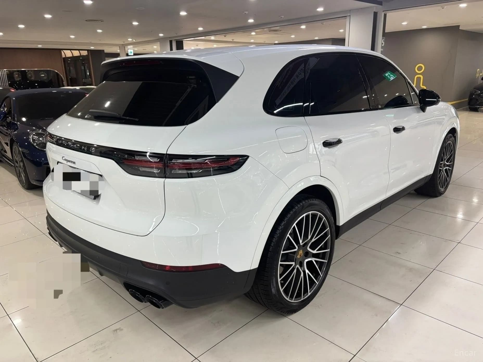 Cayenne (PO536)