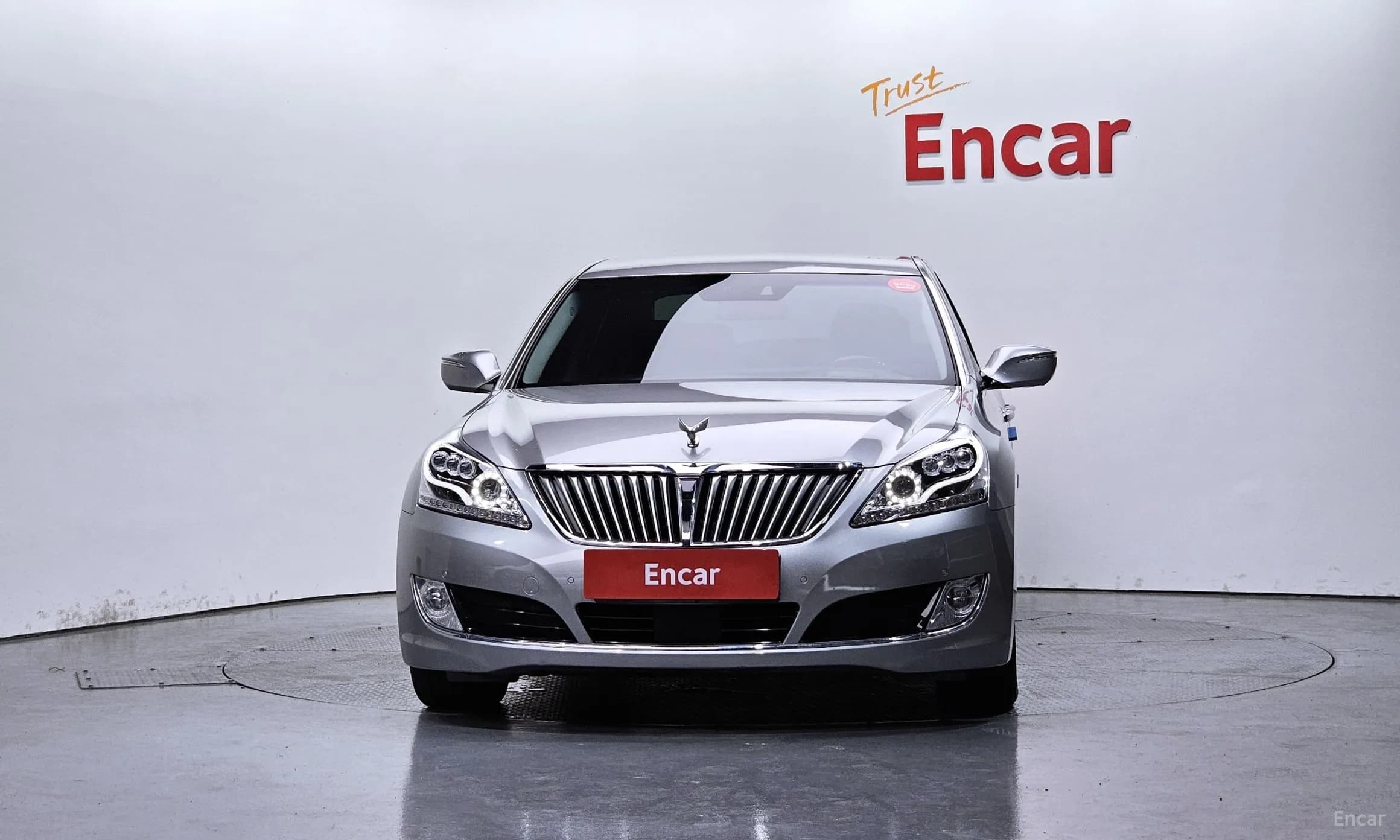 Equus (new)
