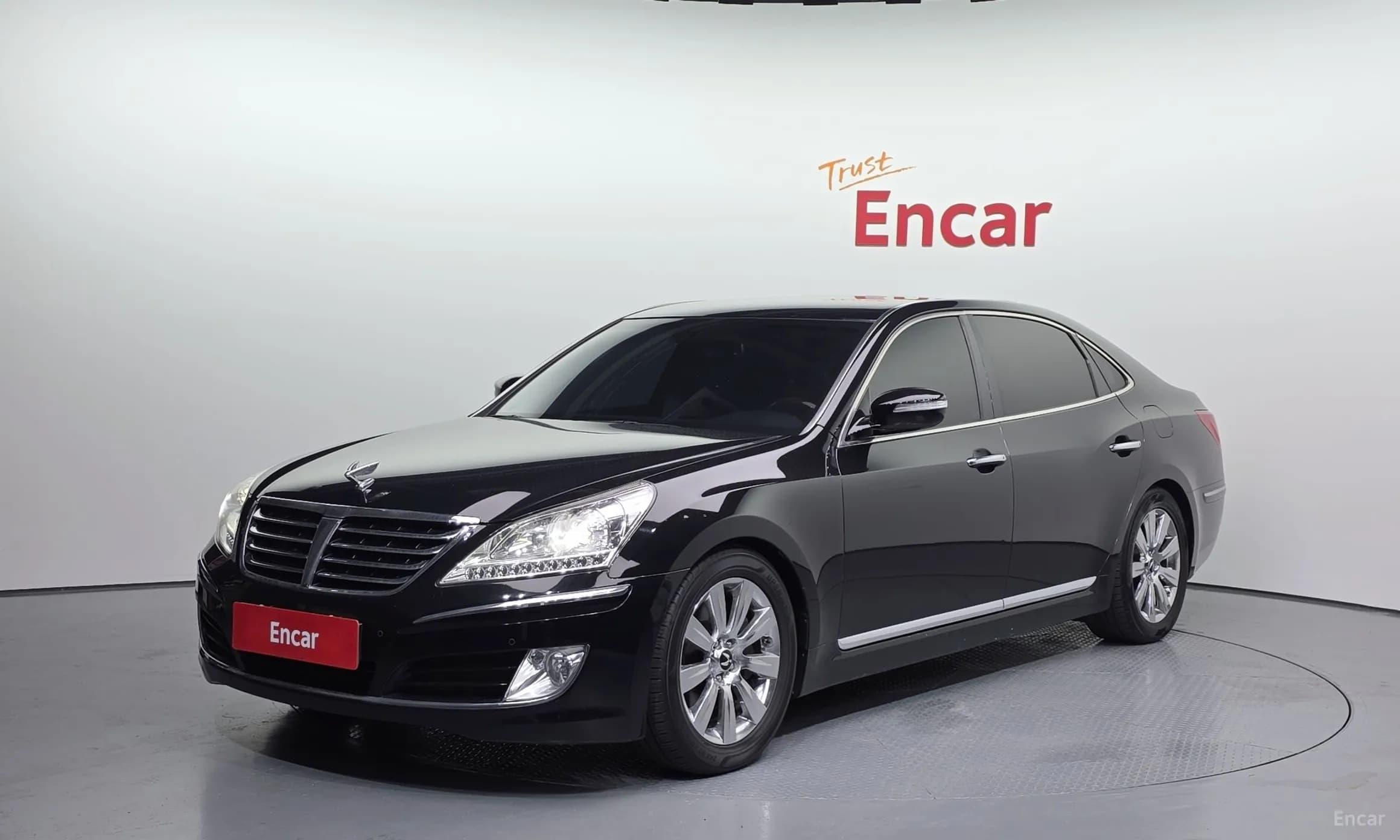 Equus (new)