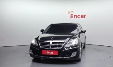 Equus (new)