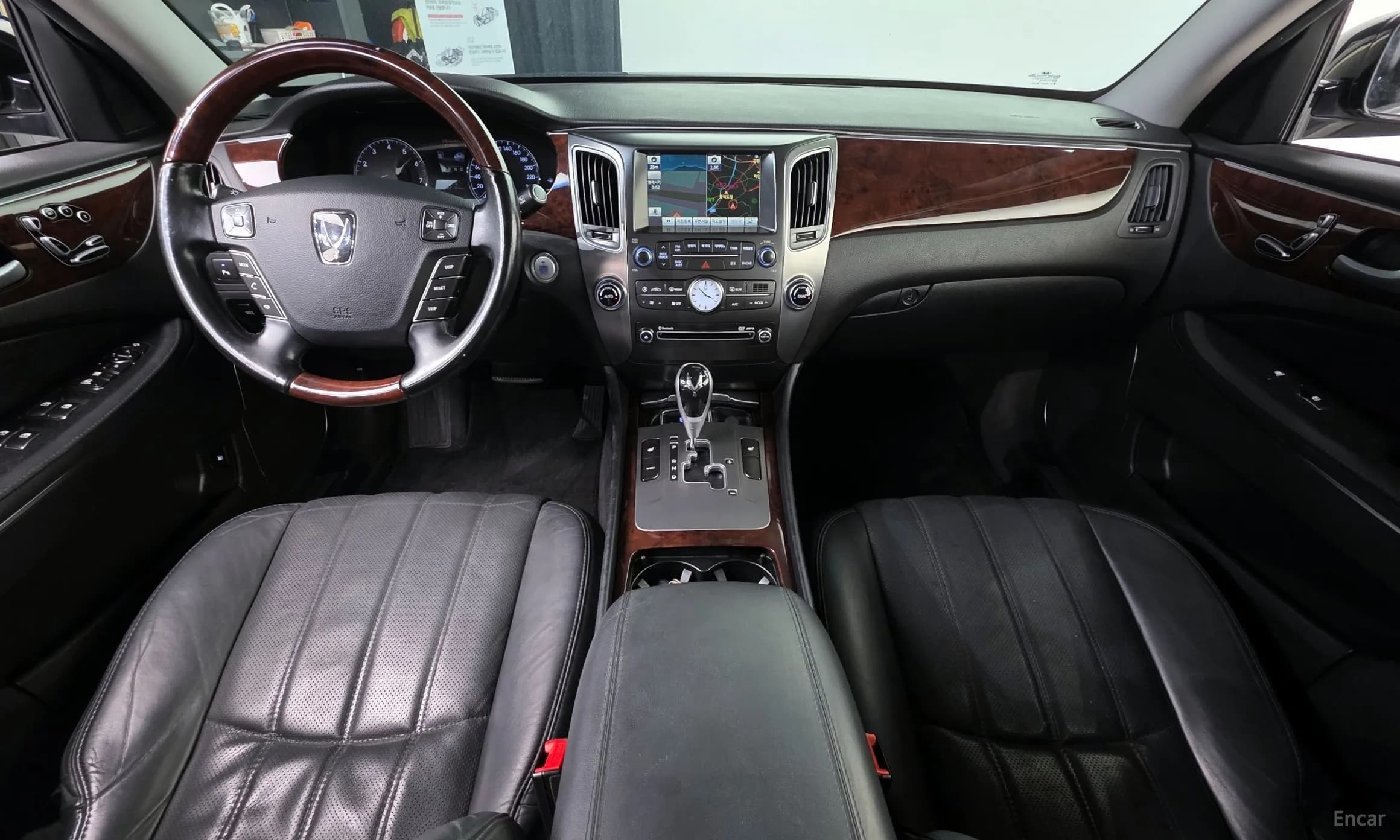 Equus (new)